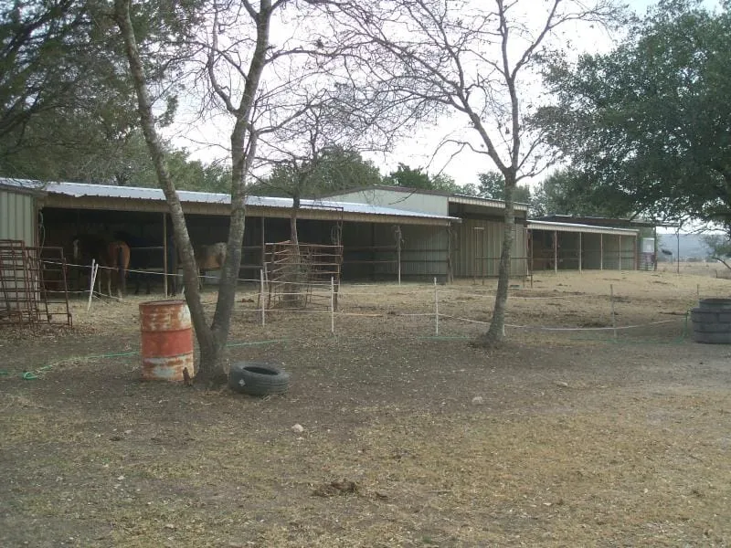 Shed-row horse shelter with pens under mature trees.